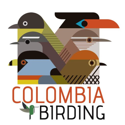 COLOMBIA Birding